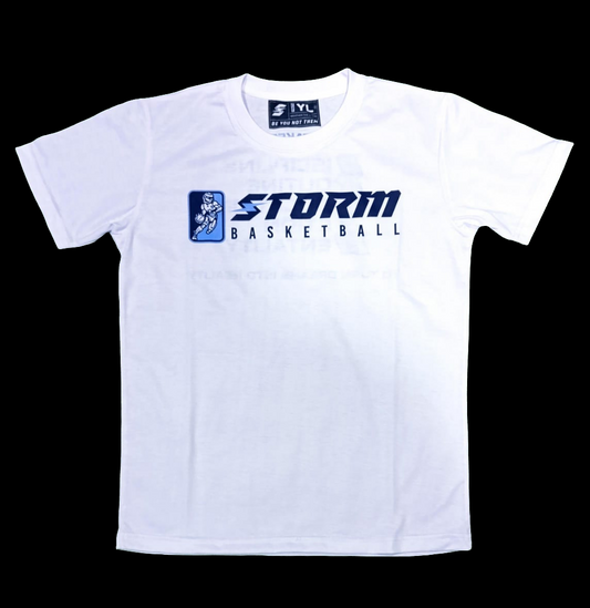 Storm Basketball Sideline D.R.E.AM Tee